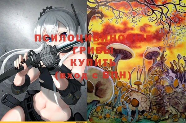 амф Алзамай