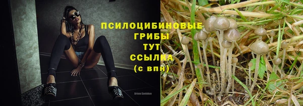 гашиш Алексеевка