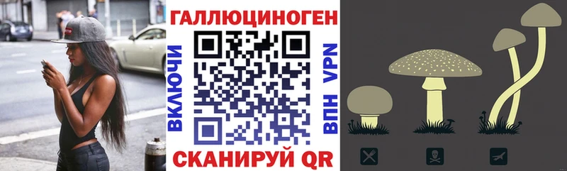Галлюциногенные грибы Psilocybe shop состав Учалы где можно купить OMG ссылки